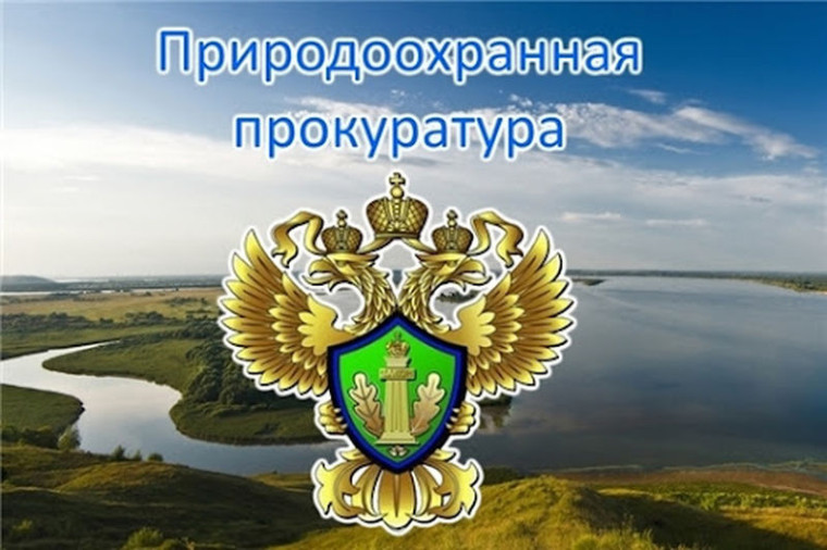 ПРИРОДООХРАННАЯ ПРОКУРАТУРА ИНФОРМИРУЕТ!.
