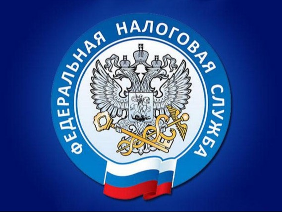 В ХОДЕ ДЕКЛАРАЦИОННОЙ КАМПАНИИ ЖИТЕЛЯМИ РЕГИОНА ПРЕДСТАВЛЕНО 23,8  ТЫС. ДЕКЛАРАЦИЙ ФОРМЫ 3-НДФЛ.