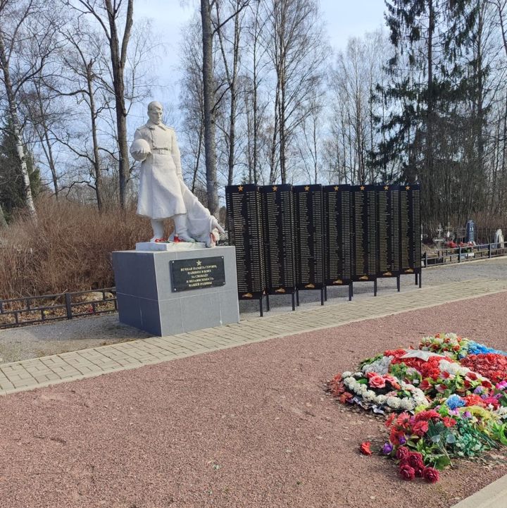 Изображения.
